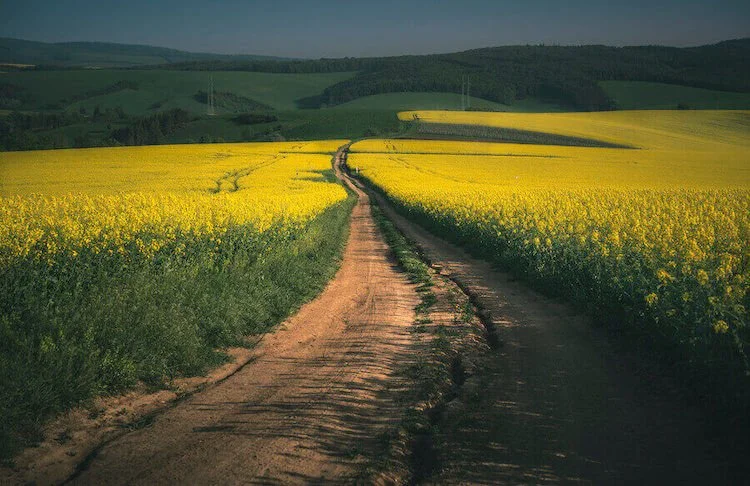 Medidas-subdivision-tamaño (1)