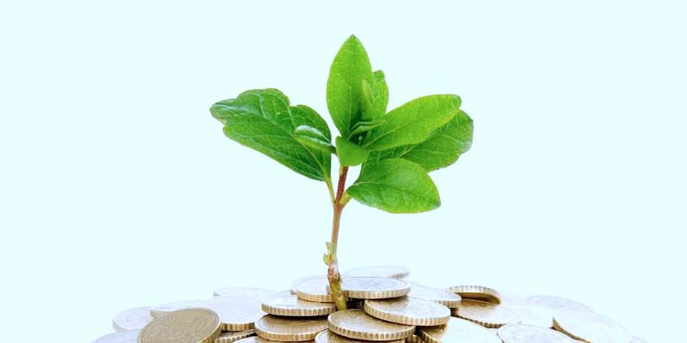 ¿Qué son las notas convertibles? 