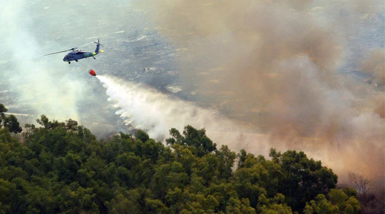 Incendios forestales y sus sanciones legales en Chile 