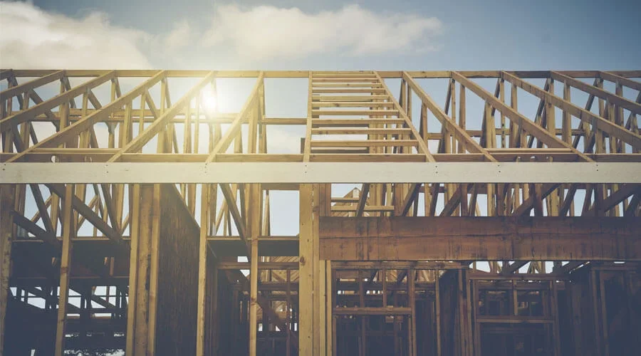 ¿Qué es la ley del mono? 