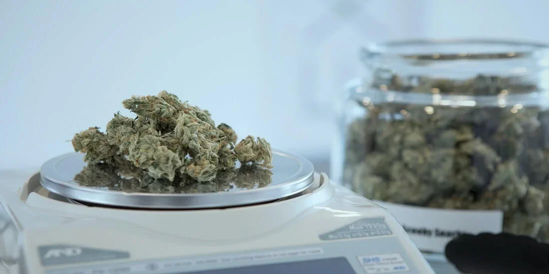 ¿Qué señala la ley sobre la marihuana en Chile? 