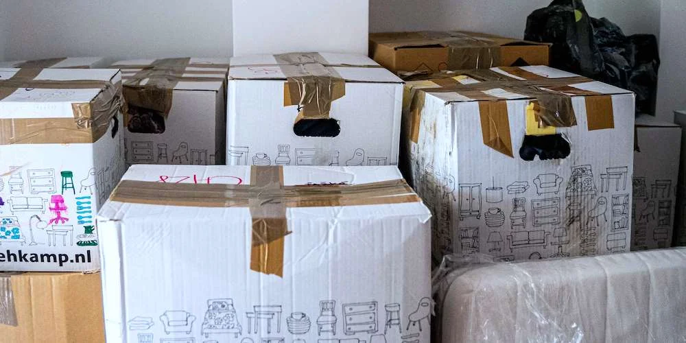 michal-balog-66NaCdBrkCs-unsplash (1)