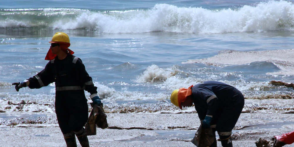 ¿Cómo funcionan los tribunales ambientales? 